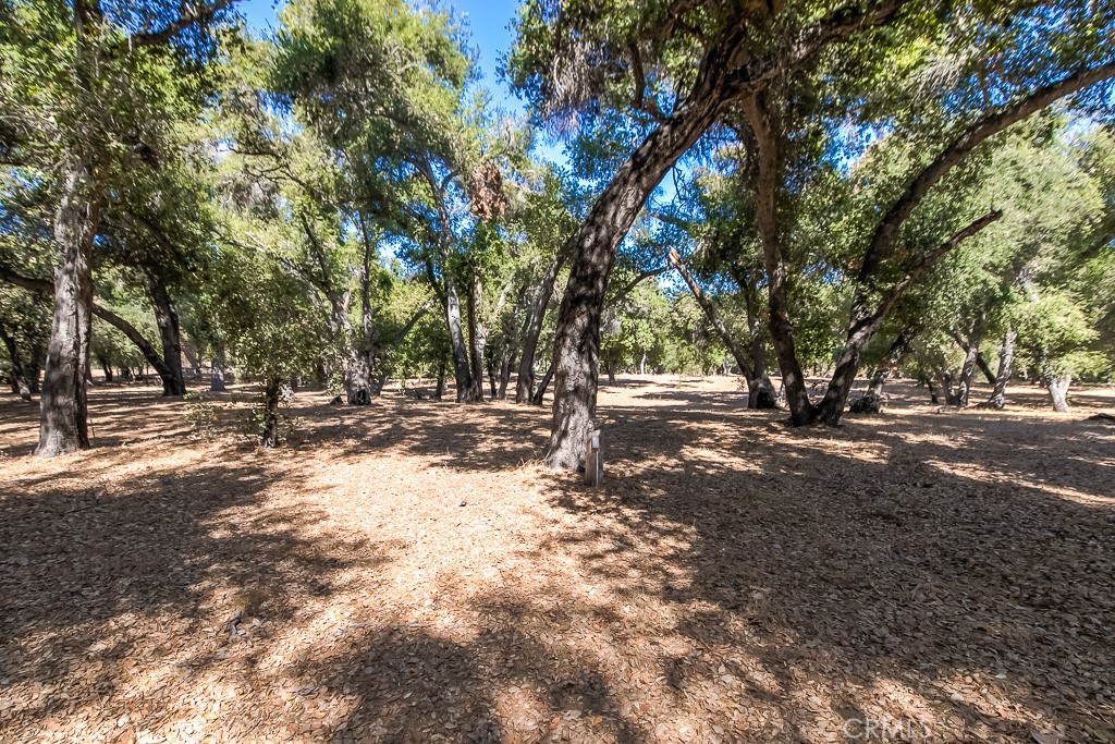 40635 De Luz Road Fallbrook, CA 92028 - Photo 66 of 75