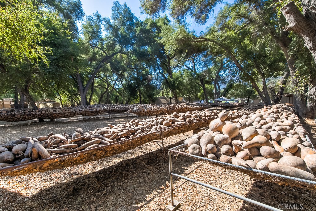 40635 De Luz Road Fallbrook, CA 92028 - Photo 67 of 75 a backyard of a house with lots of green space