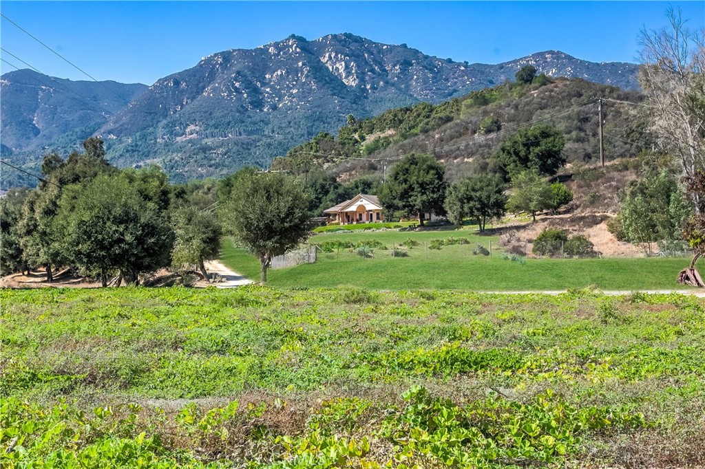 40635 De Luz Road Fallbrook, CA 92028 - Photo 7 of 75