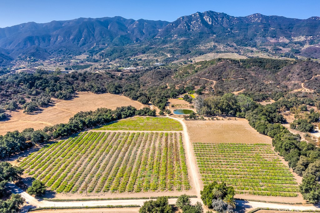 40635 De Luz Road Fallbrook, CA 92028 - Photo 73 of 75 a view of a house with a yard and a large window