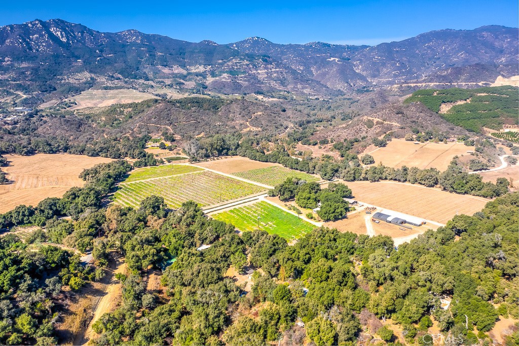 40635 De Luz Road Fallbrook, CA 92028 - Photo 10 of 75 a view of a backyard with a lake