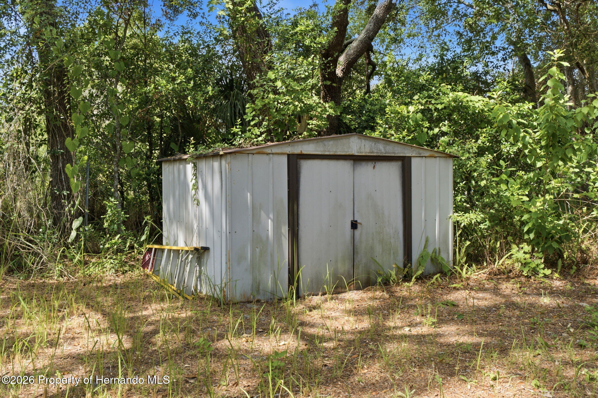 1499 Larkin Road Spring Hill, FL 34608 - Photo 19 of 24