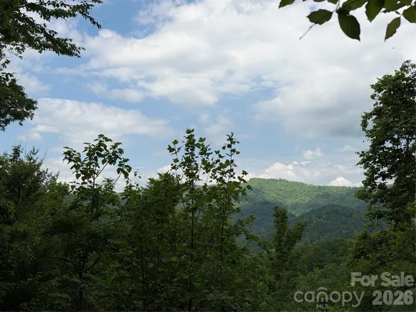 a view of a bunch of trees