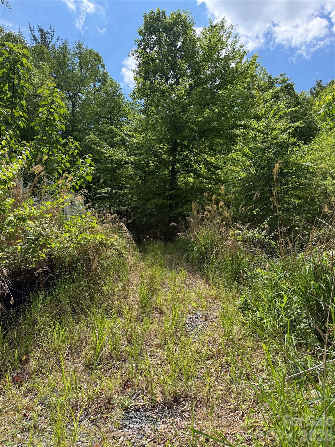 408 Arvil Gosnell Road Marshall, NC 28753 - Photo 30 of 31 a view of a garden