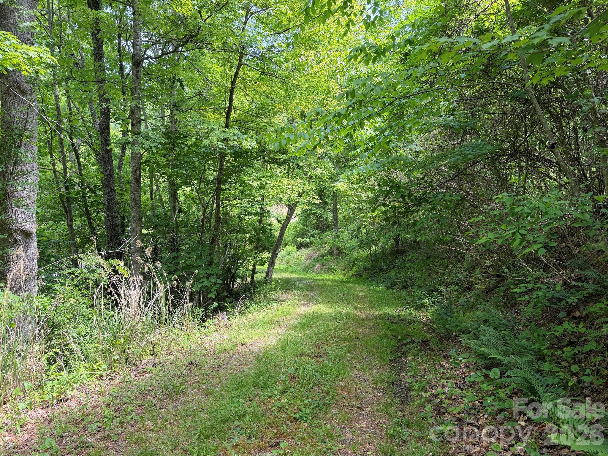 408 Arvil Gosnell Road Marshall, NC 28753 - Photo 8 of 31 a view of outdoor space and green space