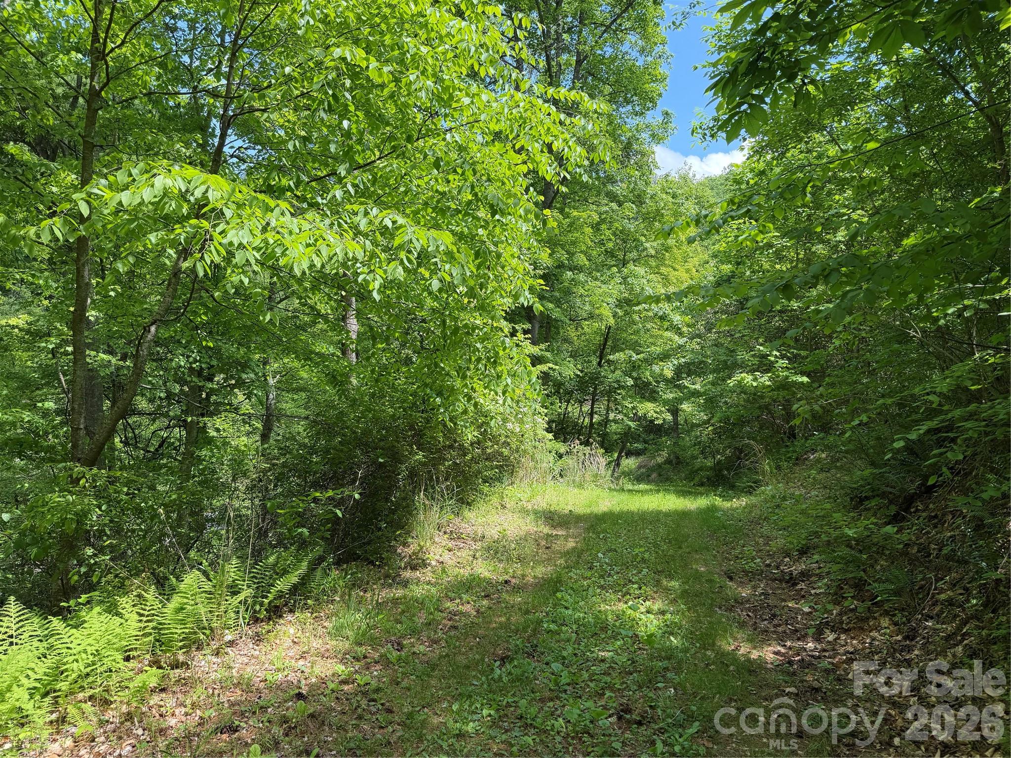 408 Arvil Gosnell Road Marshall, NC 28753 - Photo 10 of 31 a view of a lush green space