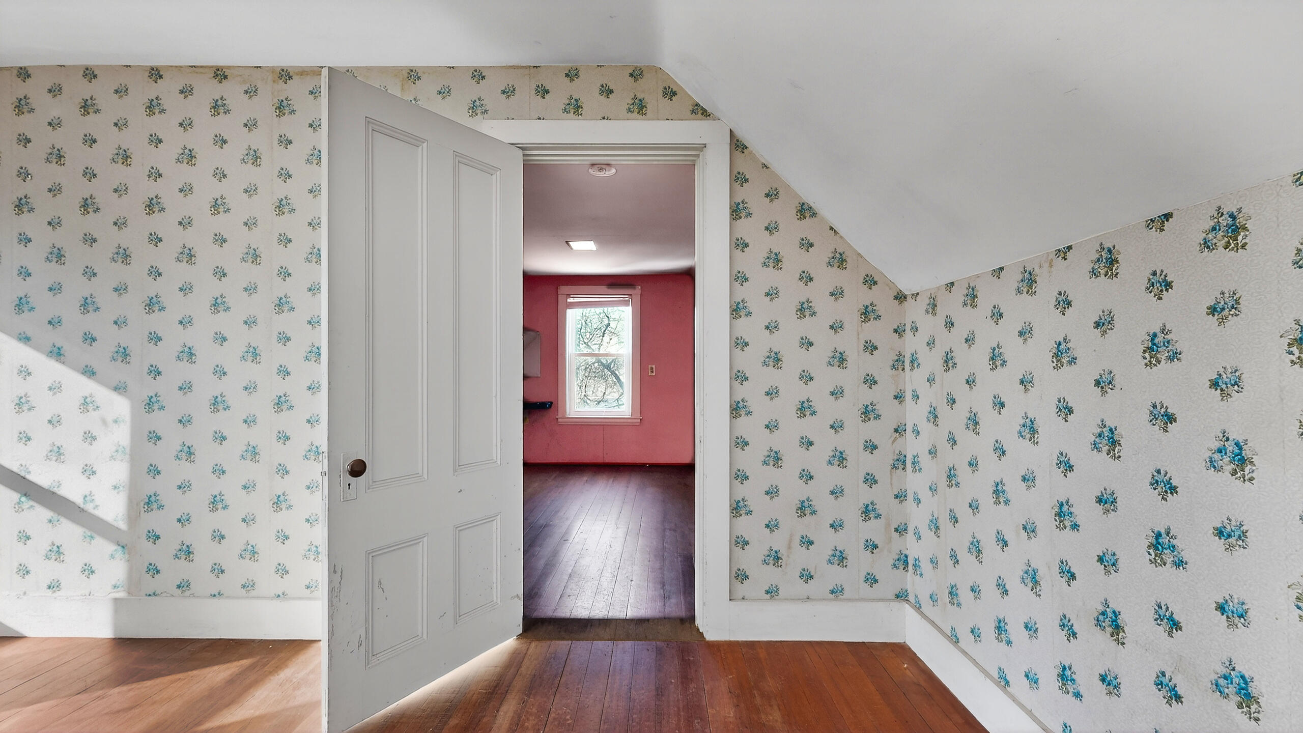 21 Madison Street Portland, ME 04101 - Photo 25 of 35 21-Madison-Street-Portland-01172026_1224