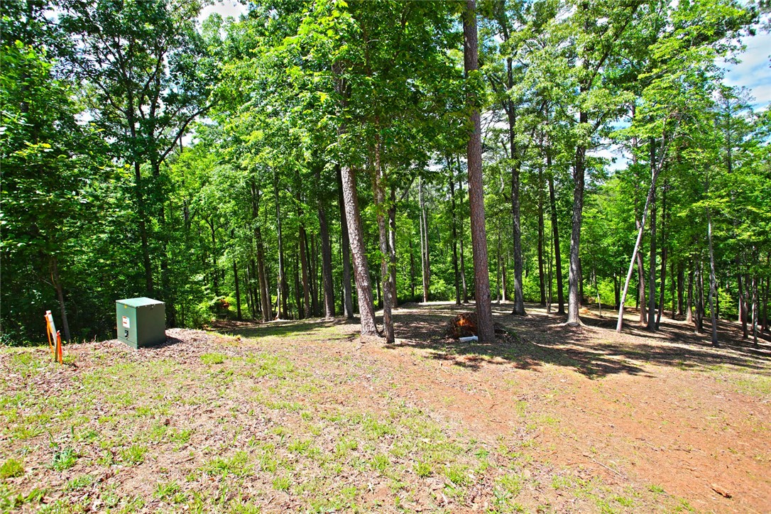 Lot 114 Harbor Point Seneca, SC 29672 - Photo 12 of 46 This verdant lot offers a tranquil, wooded setting, ideal for building your dream retreat.