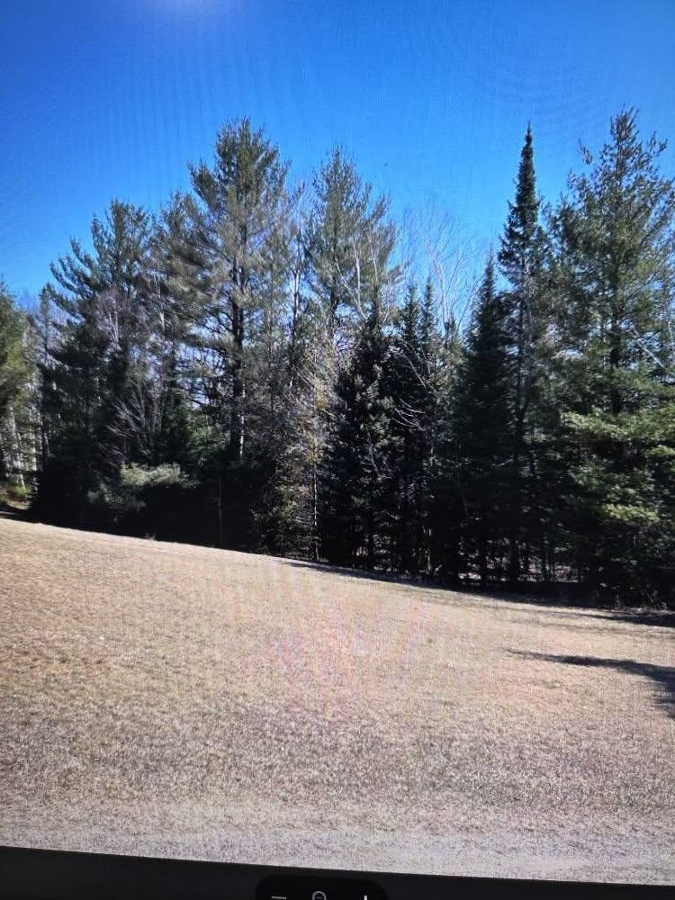 4151 Fraser Road Glennie, MI 48737 - Photo 9 of 21 1933404-ac543797-b44f-4347-bbf2-112f15612570.JPG