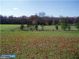 393 Lawrence Corner Road Pittsgrove, NJ 08318 - Photo 3 of 5