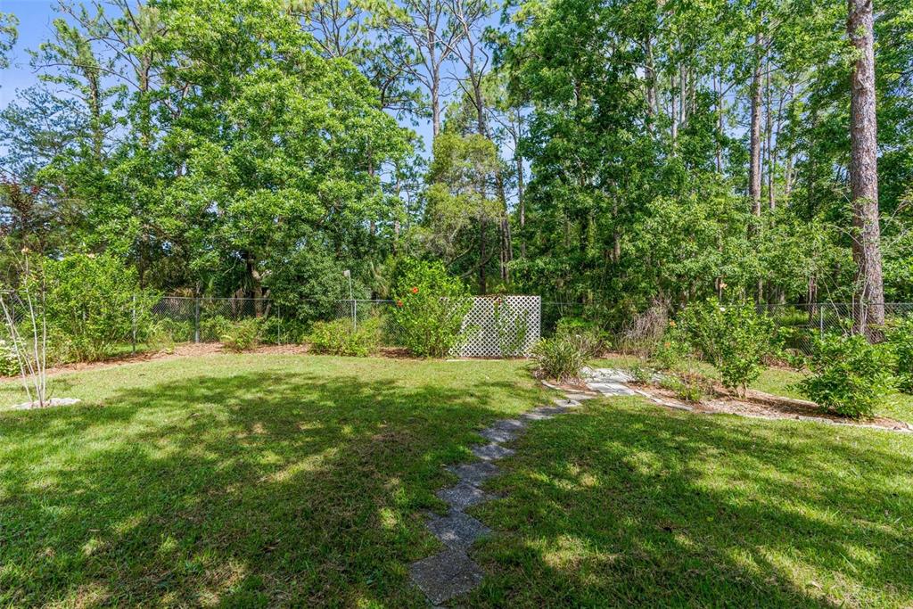 3373 Olson Road Spring Hill, FL 34607 - Photo 29 of 68