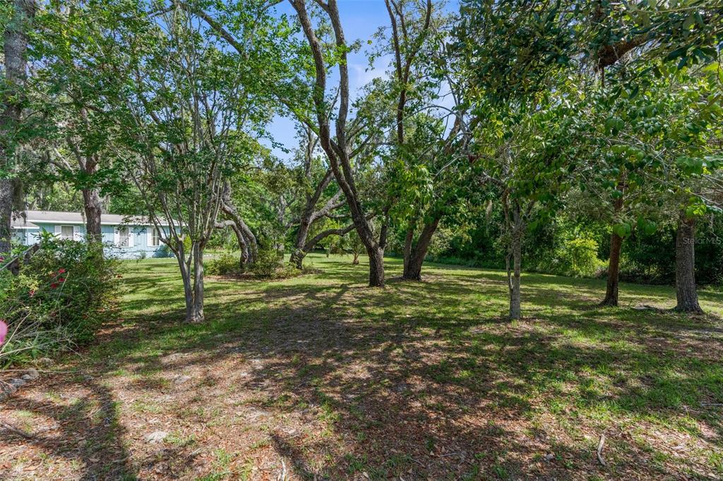 3373 Olson Road Spring Hill, FL 34607 - Photo 32 of 68