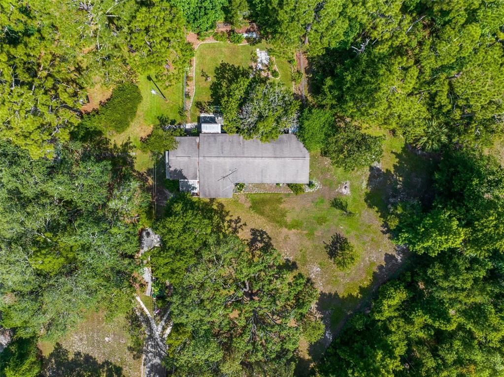 3373 Olson Road Spring Hill, FL 34607 - Photo 57 of 68