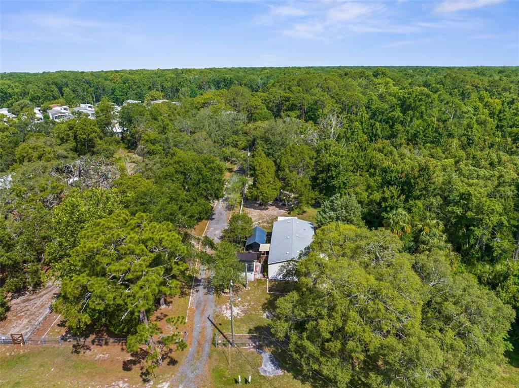 3373 Olson Road Spring Hill, FL 34607 - Photo 59 of 68