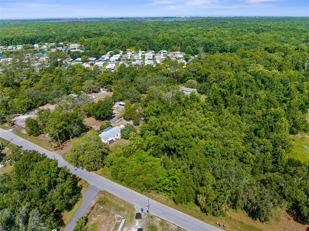 3373 Olson Road Spring Hill, FL 34607 - Photo 60 of 68