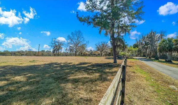a view of yard with tree