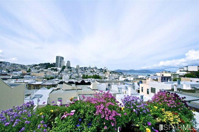 41 Castle Street San Francisco, CA 94133 - Photo 8 of 39