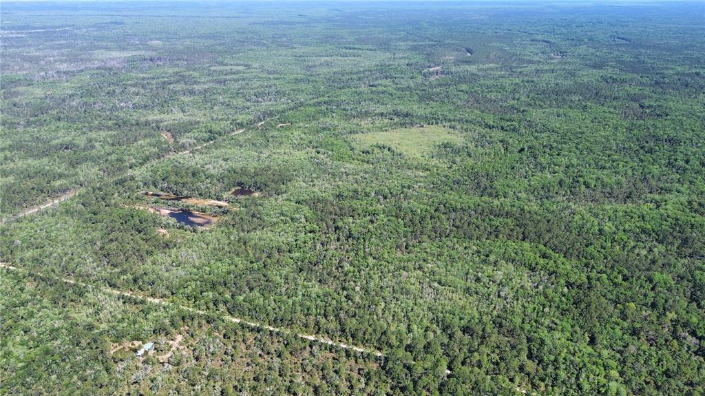 99 Southwest Cr-347 Chiefland, FL 32626 - Photo 12 of 29 a aerial view of a houses with a yard