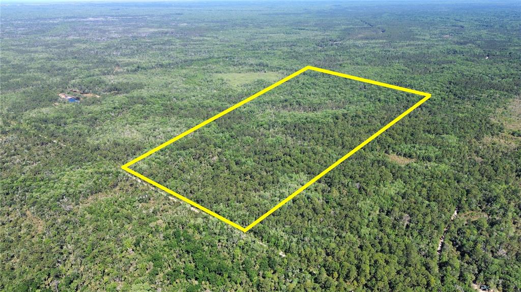 99 Southwest Cr-347 Chiefland, FL 32626 - Photo 3 of 29 a view of a tennis court