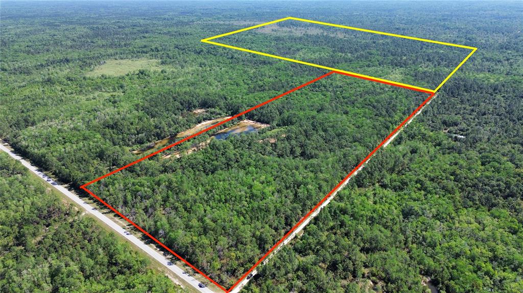 99 Southwest Cr-347 Chiefland, FL 32626 - Photo 5 of 29 a view of a yard with a street