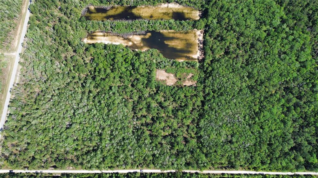 99 Southwest Cr-347 Chiefland, FL 32626 - Photo 8 of 29 a view of a lake in a forest
