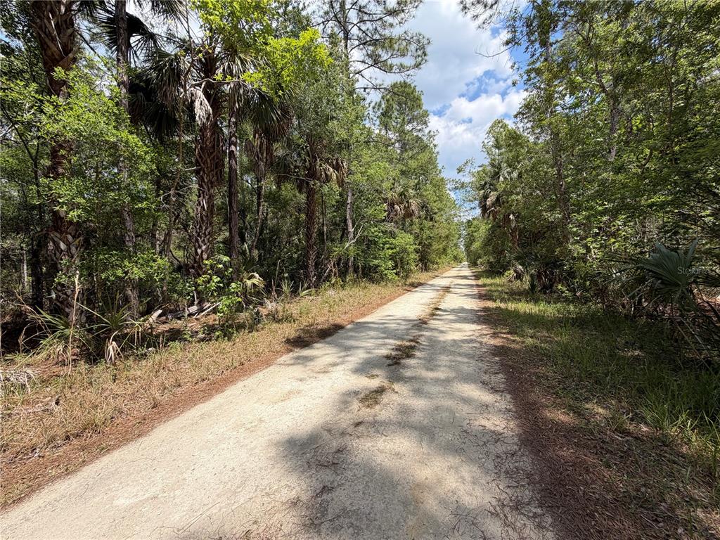 99 Southwest Cr-347 Chiefland, FL 32626 - Photo 9 of 29 a view of outdoor space with trees