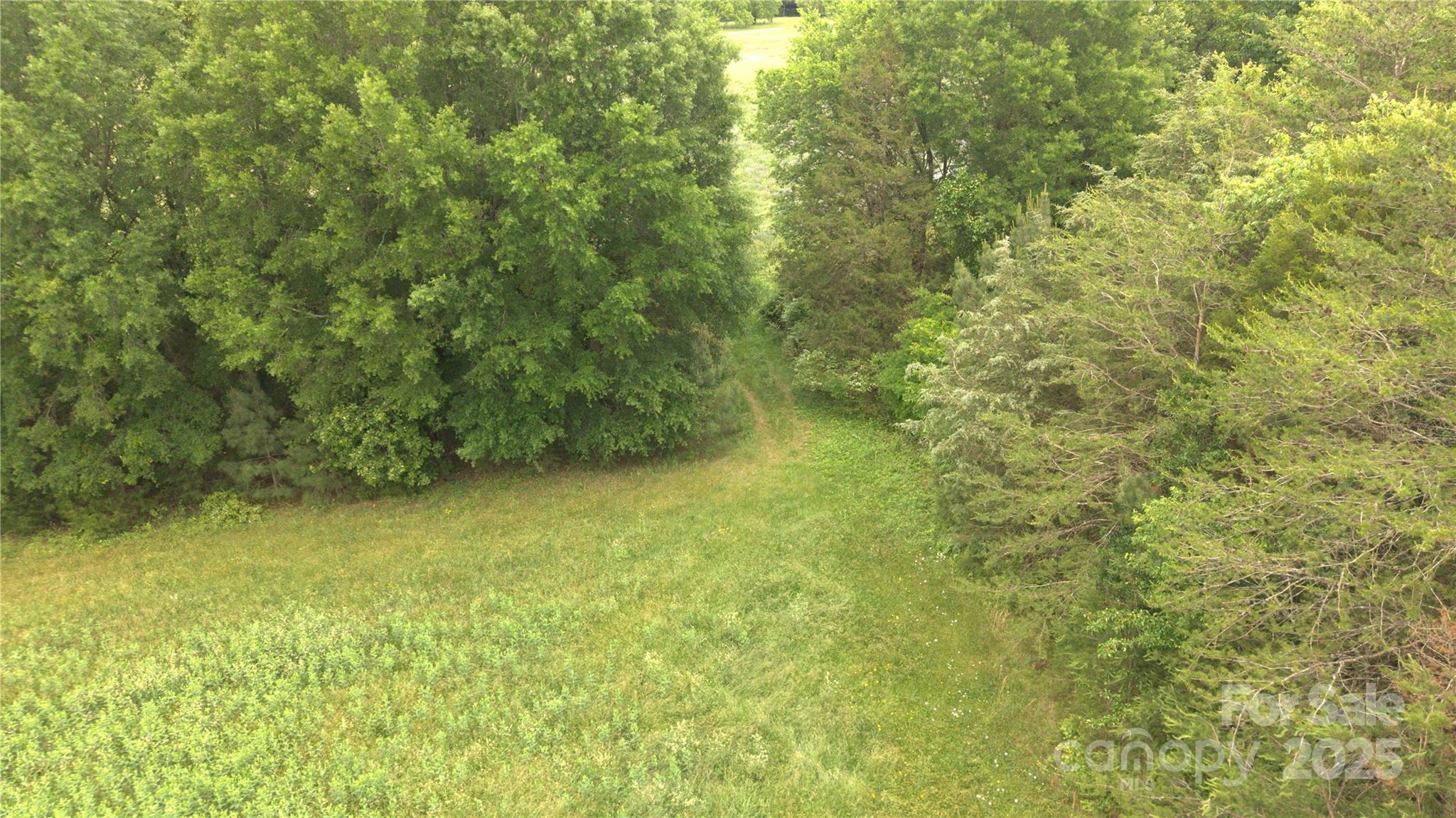 0 West Bandys Cross Road Catawba, NC 28609 - Photo 14 of 20 Gallery Image 14