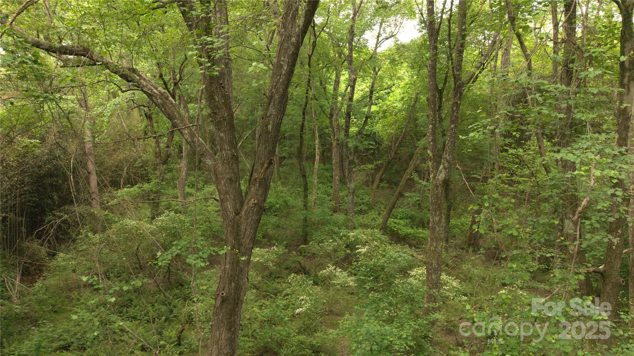 0 West Bandys Cross Road Catawba, NC 28609 - Photo 17 of 20 Gallery Image 17