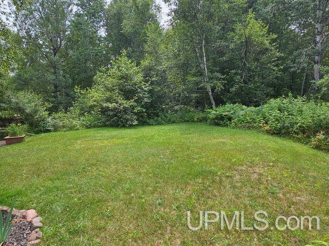 11 Snowfield Road Negaunee, MI 49866 - Photo 10 of 56 Gallery Image 10