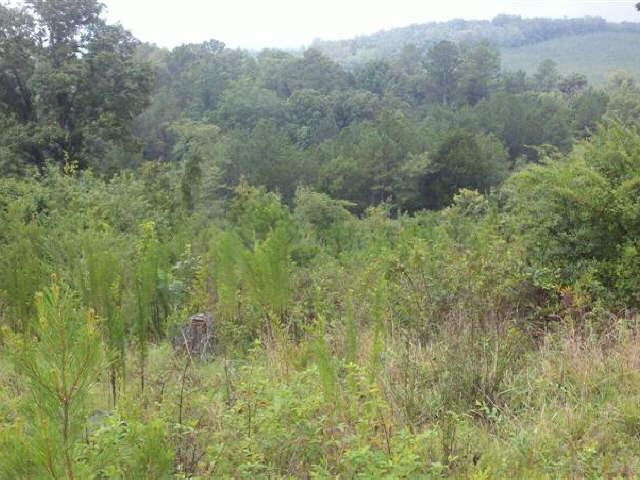 440 Sam Harris Road Northeast, Unit A Rome, GA 30161 - Photo 1 of 1