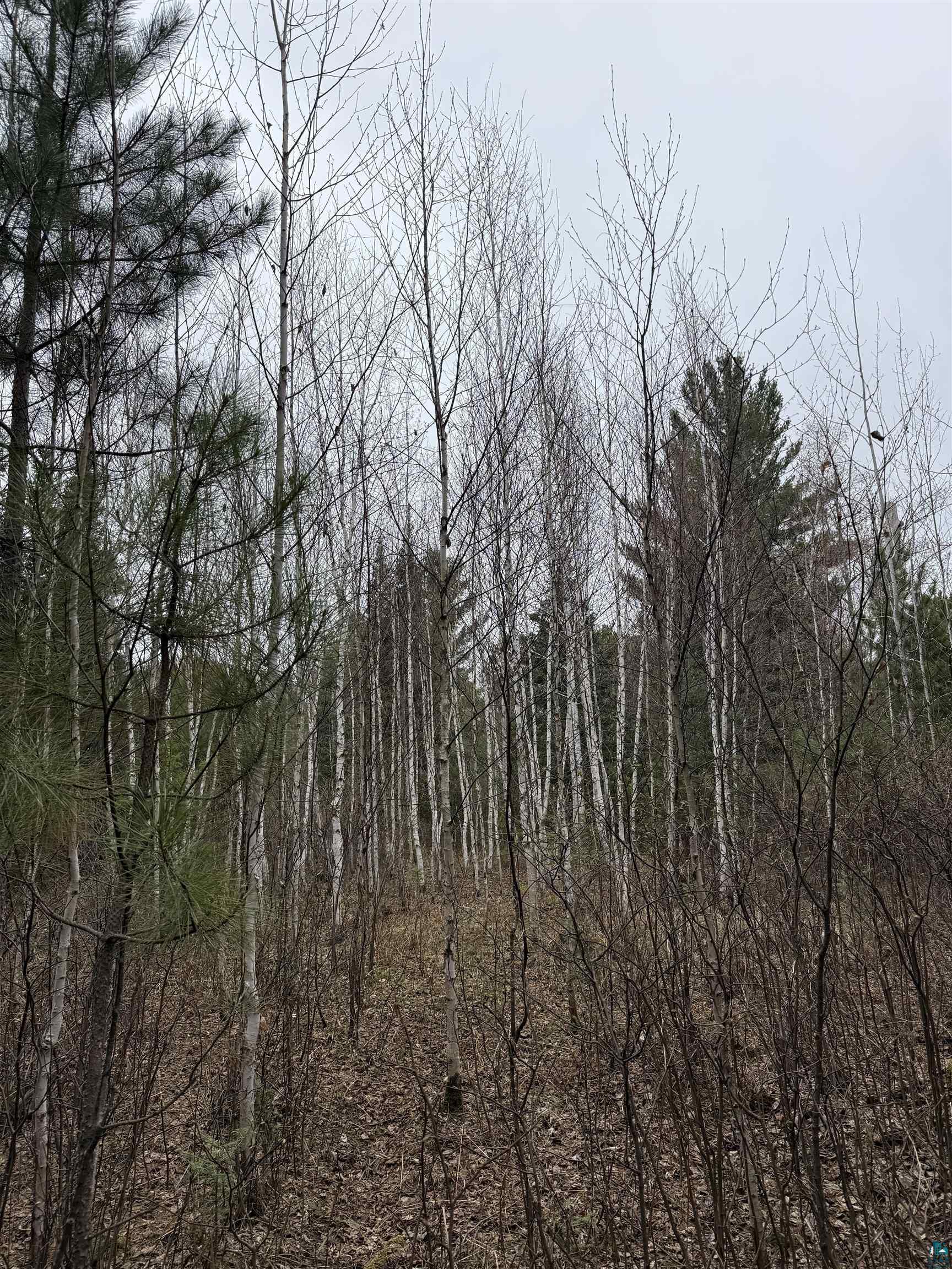 Tbd Scout Camp Road Eveleth, MN 55734 - Photo 15 of 15