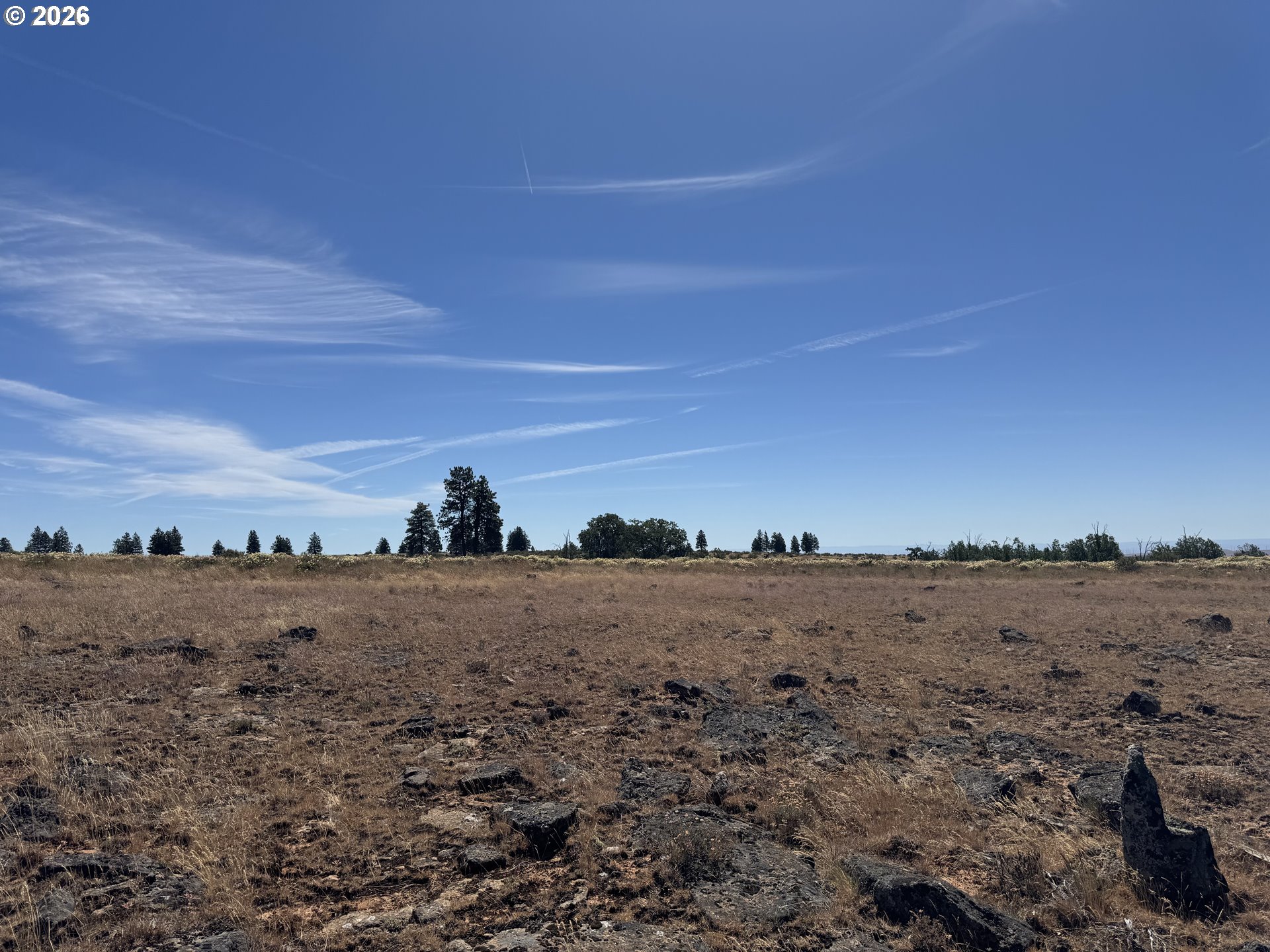 0 Bickleton Highway Bickleton, WA 99322 - Photo 13 of 15