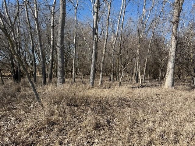 Tbd North Begole Road Alma, MI 48801 - Photo 4 of 8