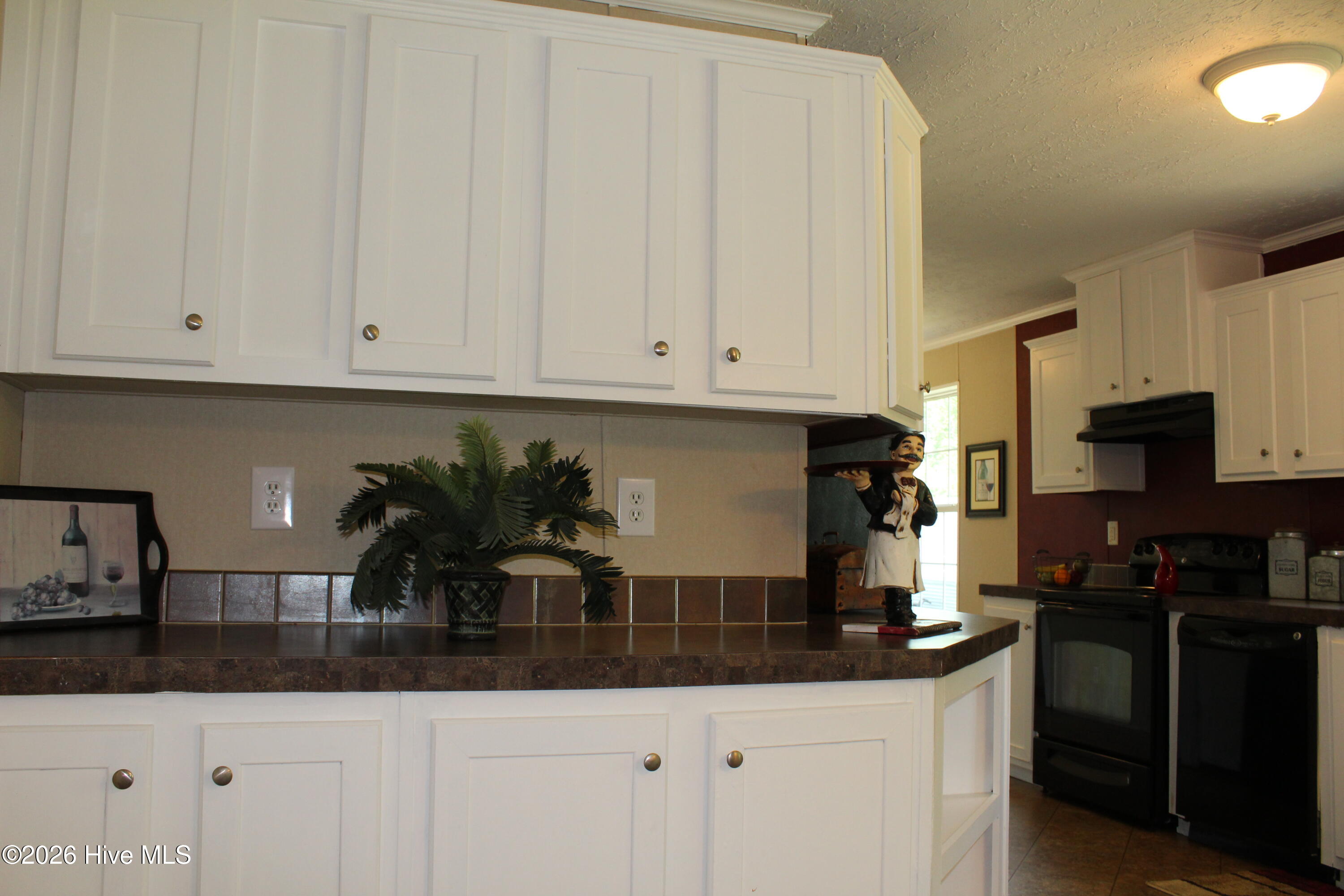 137 George Sumner Road Beulaville, NC 28518 - Photo 29 of 48 IMG_5531