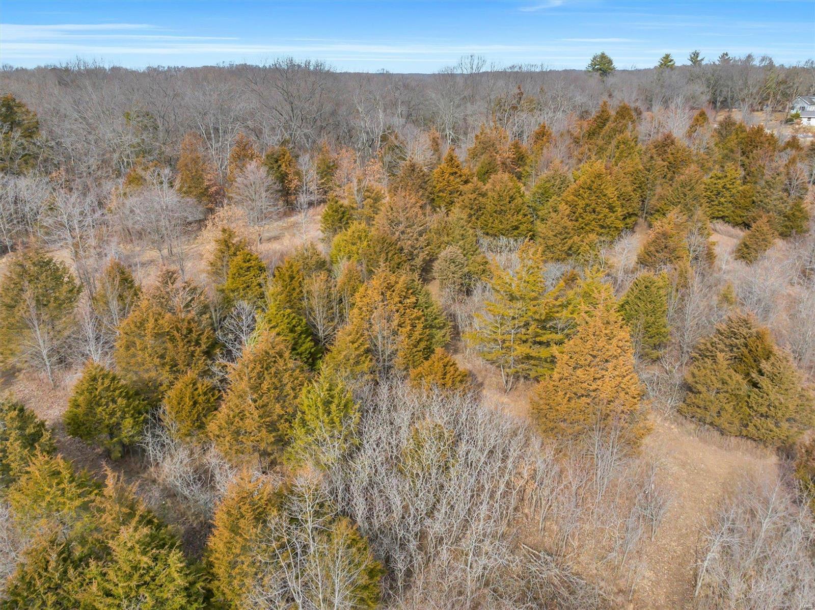 1801 Pond Road Glencoe, MO 63038 - Photo 22 of 29 Gallery Image 22