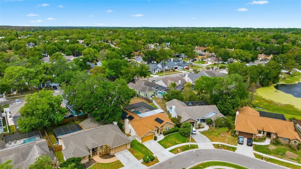 3533 Springville Drive Valrico, FL 33596 - Photo 33 of 35