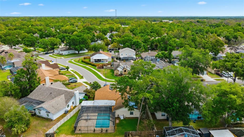 3533 Springville Drive Valrico, FL 33596 - Photo 35 of 35