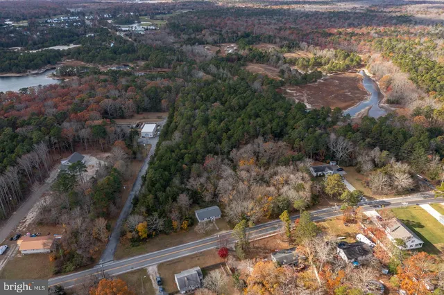 a aerial view of a house with swimming pool and large trees