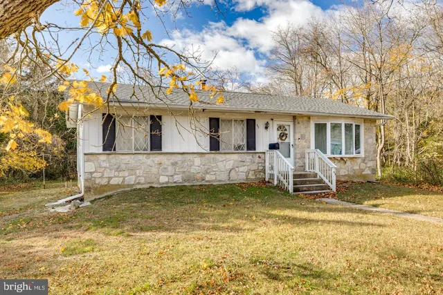a view of a yard with a tree