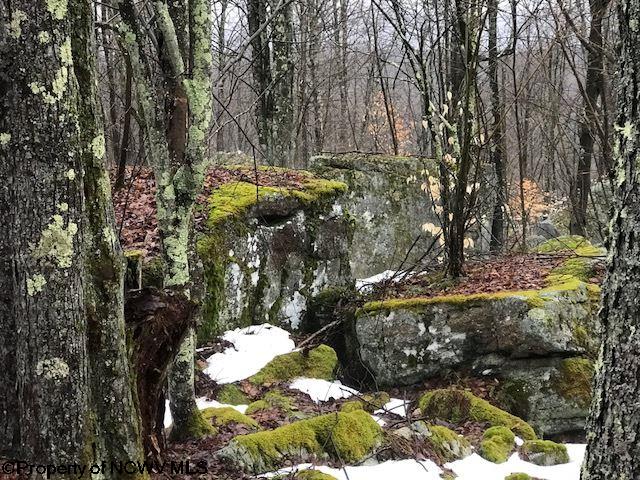 Lot 3 Cherry Davis, WV 26260 - Photo 6 of 14 Gallery Image 6