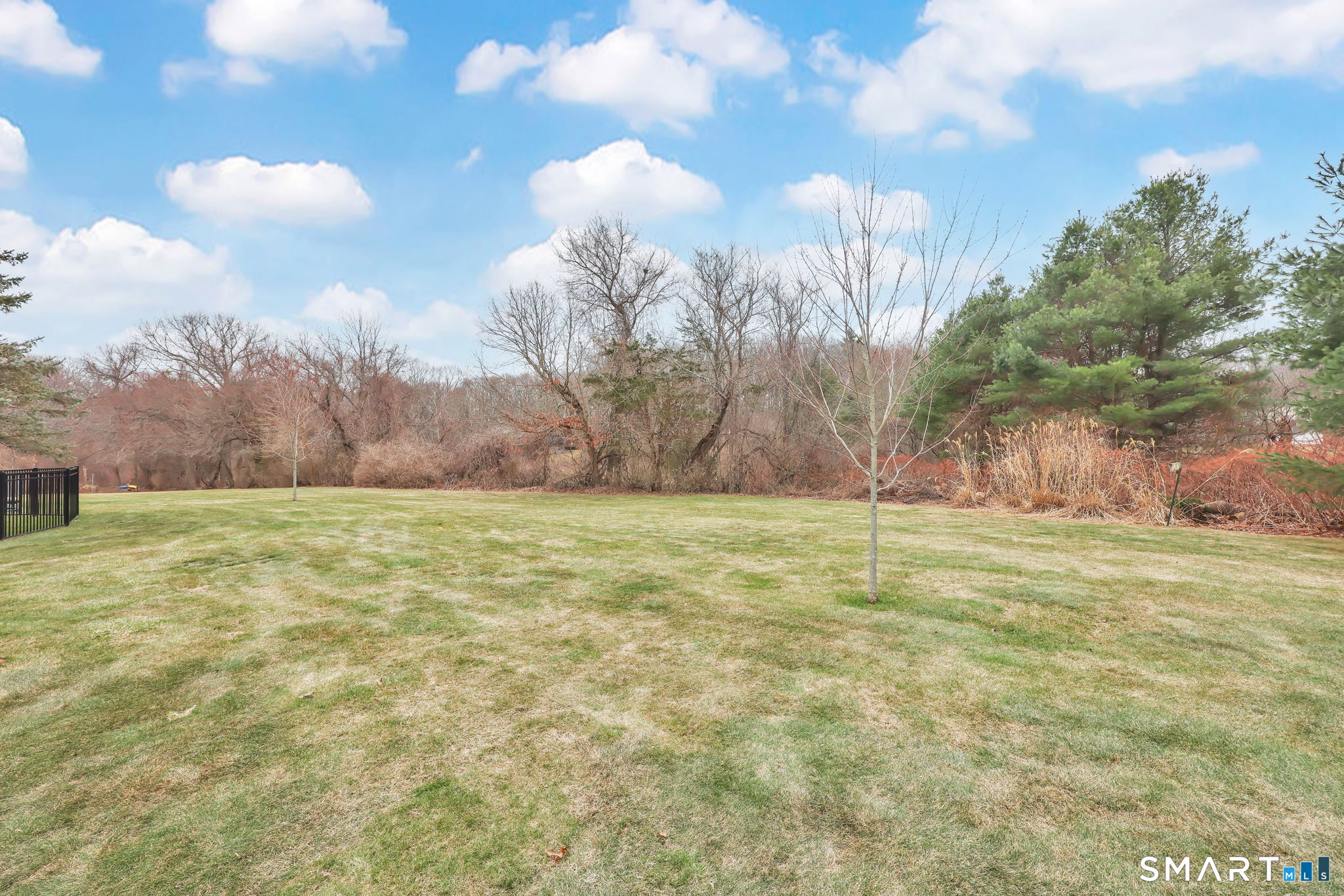 64 Tolland Farms Road Tolland, CT 06084 - Photo 28 of 33 Backyard towards Treeline