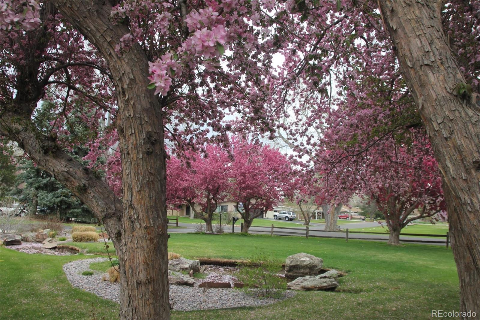 33 Skyline Drive Wheat Ridge, CO 80215 - Photo 3 of 14