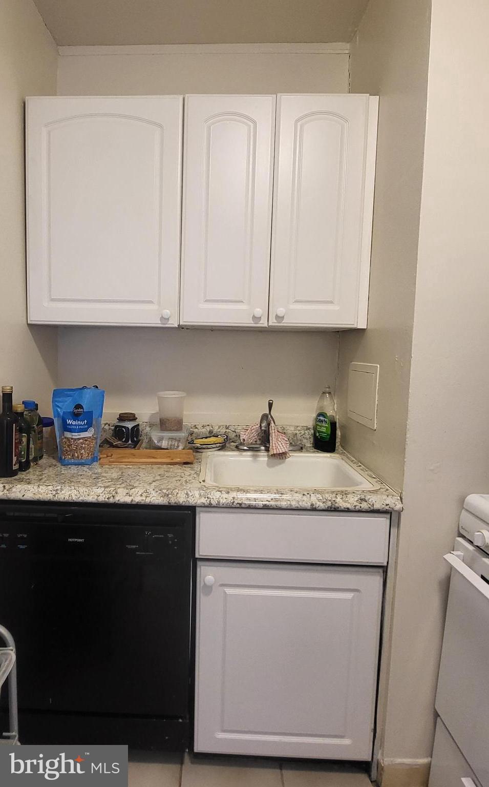 210 Locust Street, Unit 22CW Philadelphia, PA 19106 - Photo 4 of 14