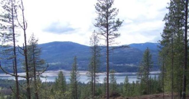 1 Silver Queen Road Kettle Falls, WA 99141 - Photo 1 of 4