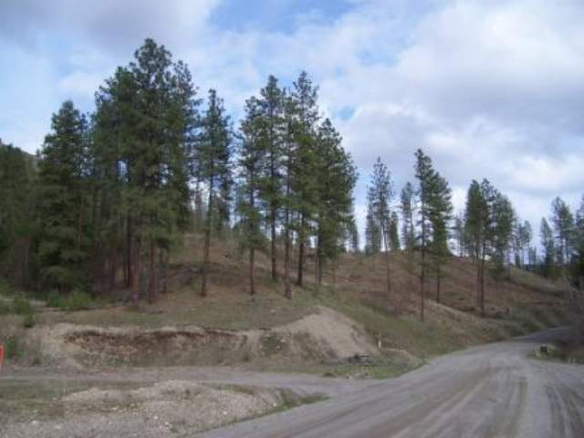 1 Silver Queen Road Kettle Falls, WA 99141 - Photo 3 of 4