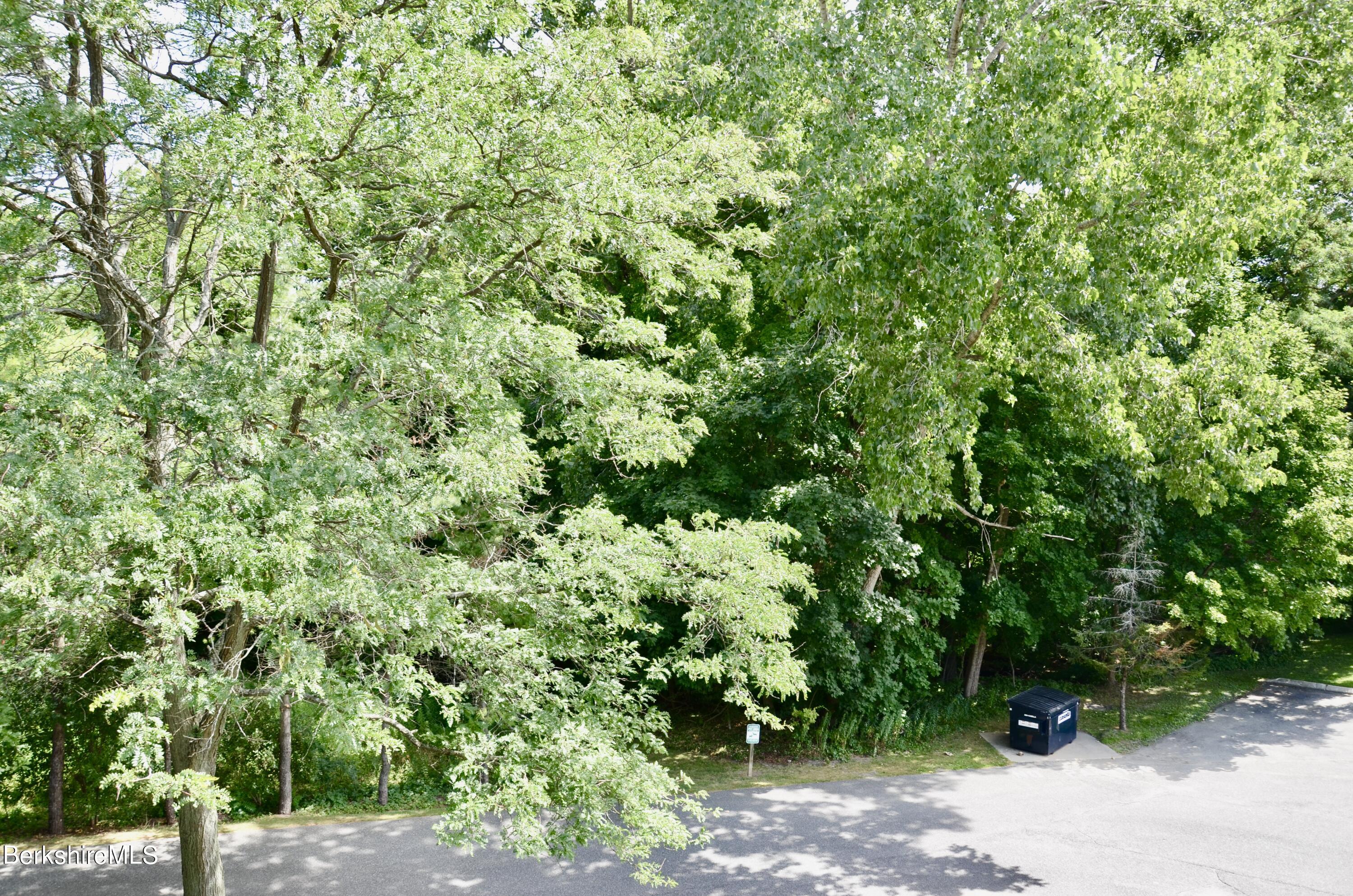 260 Pittsfield Road, Unit C11 Lenox, MA 01240 - Photo 16 of 18 DSC_0007