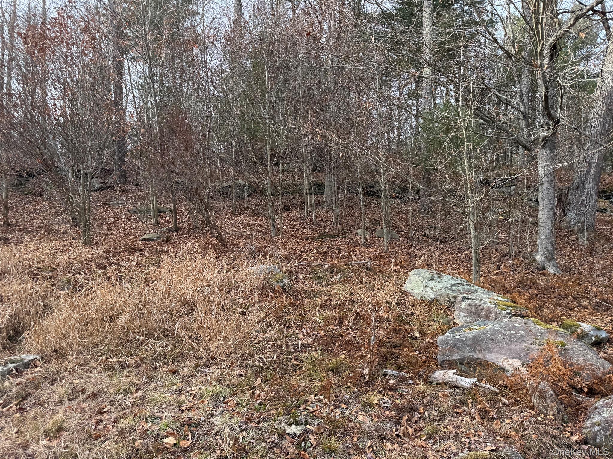 Hilltop Road Monticello, NY 12701 - Photo 11 of 17 a view of a dry yard with trees