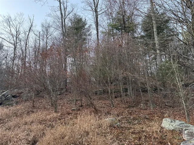 a view of outdoor space