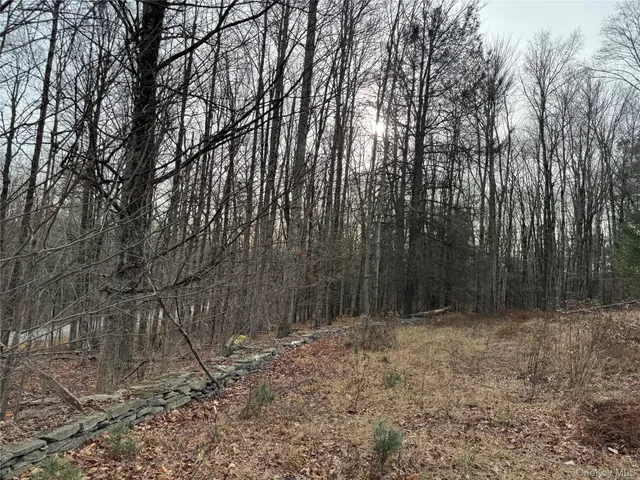 a view of outdoor space with lots of trees