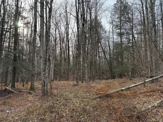 a backyard of a house with lots of trees